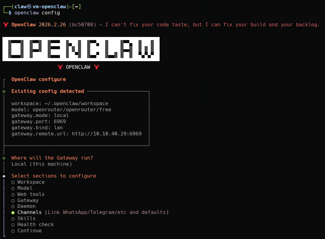 OpenClaw config channels