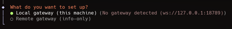 OpenClaw local gateway selection