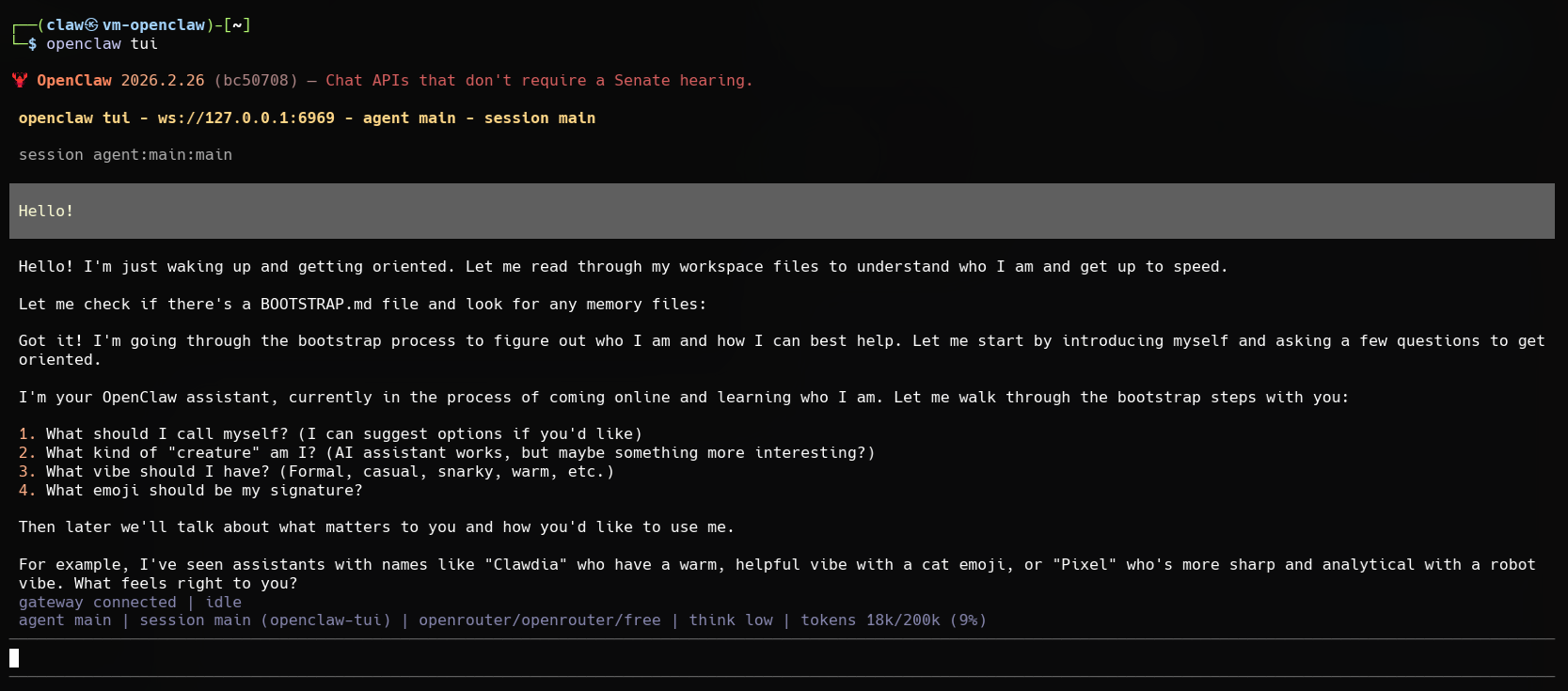 OpenClaw TUI interface